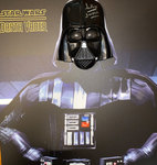 Star Wars Canvas Print +Mask Signed By Dave Prowse & Beckett Authenticated